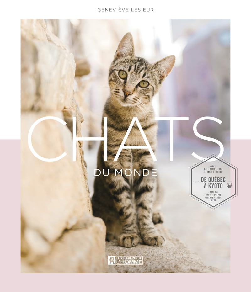 Chats du monde : de Québec à Kyoto