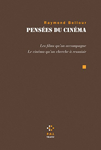 Pensées du cinéma : les films qu'on accompagne, le cinéma qu'on cherche à ressaisir