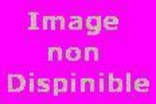 Luz ou Le temps sauvage