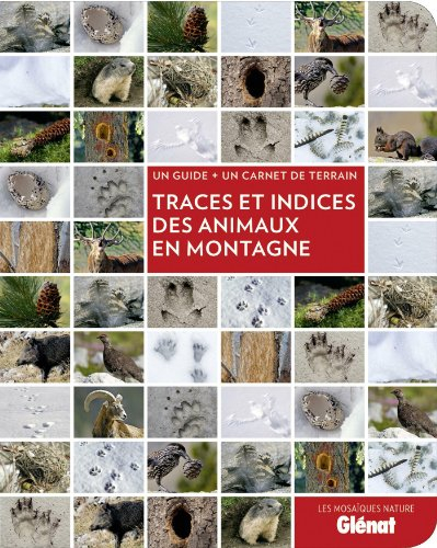 Traces et indices des animaux en montagne