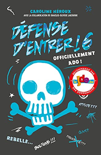 Défense d'entrer !. Vol. 6. Officiellement ado !