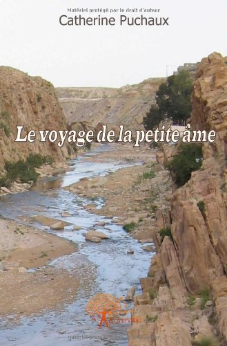 Le voyage de la petite âme