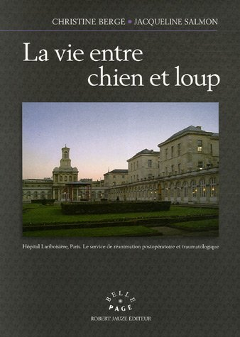 La vie entre chien et loup : hôpital Lariboisière, Paris, le service de réanimation postopératoire e