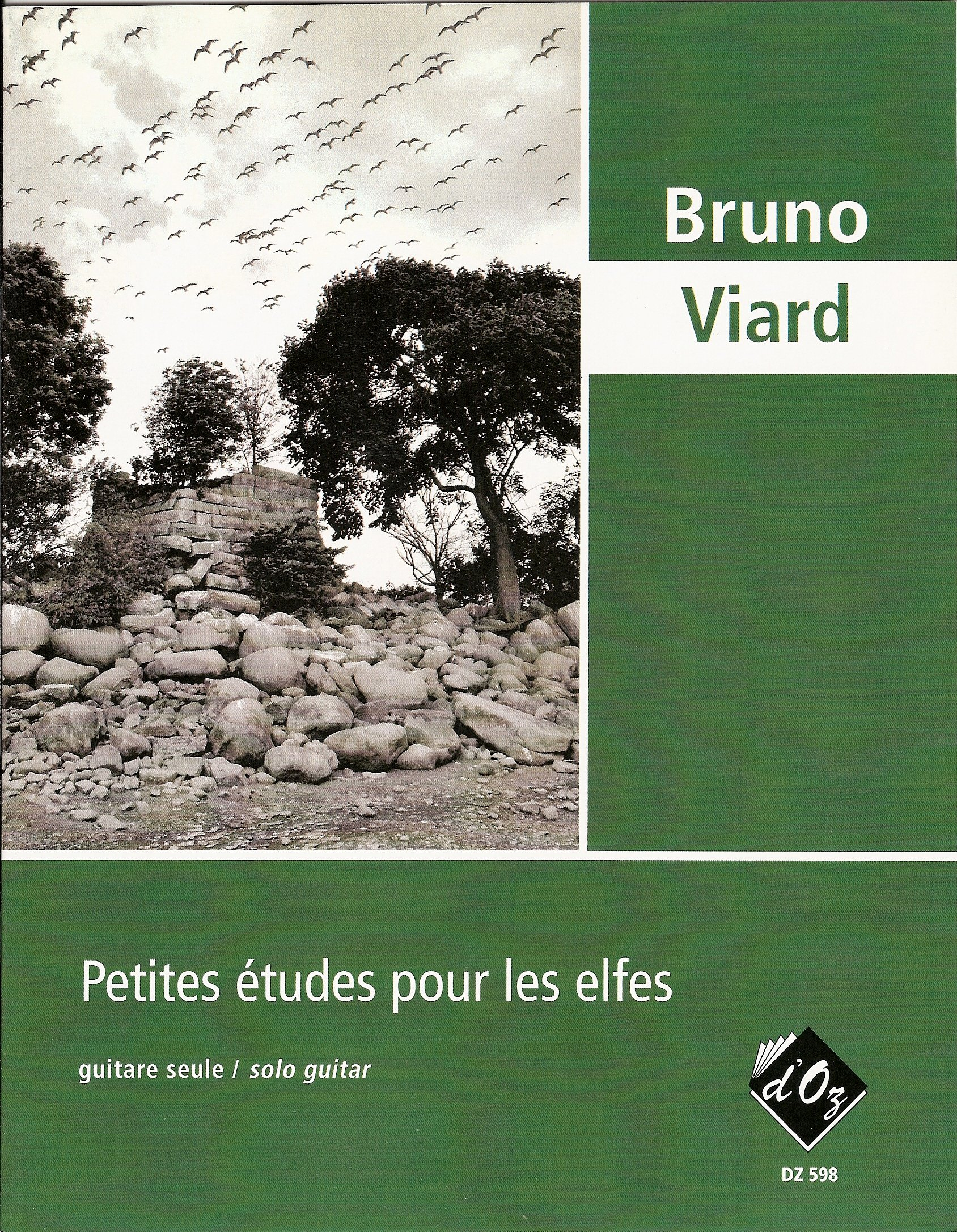 PETITES ETUDES POUR LES ELFES GUITARE