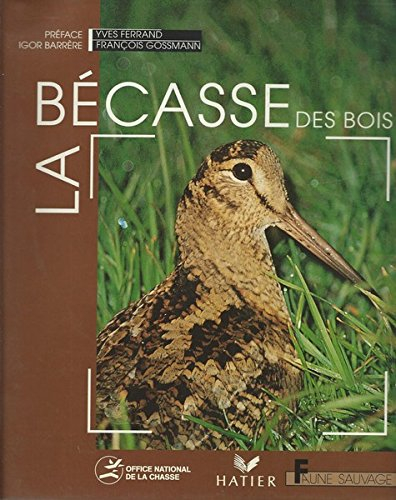 La bécasse des bois