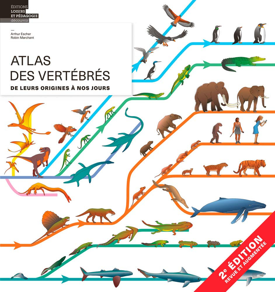 Atlas des vertébrés : de leurs origines à nos jours