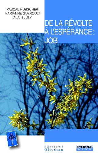 De la révolte à l'espérance : Job : conférences de Carême 2013