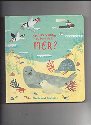 Qui se cache au bord de la mer ? : avec plus de 20 flaps à soulever
