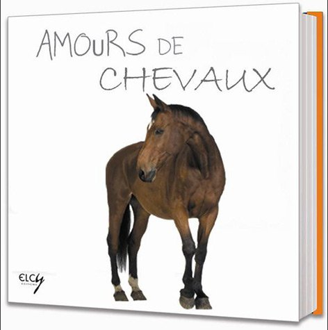 Amours de chevaux. Horses