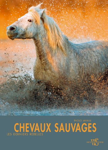 Chevaux sauvages : les derniers rebelles