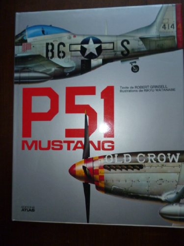p 51 mustang                                                                                  022796