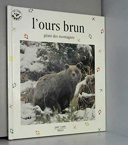 L'ours brun : géant des montagnes