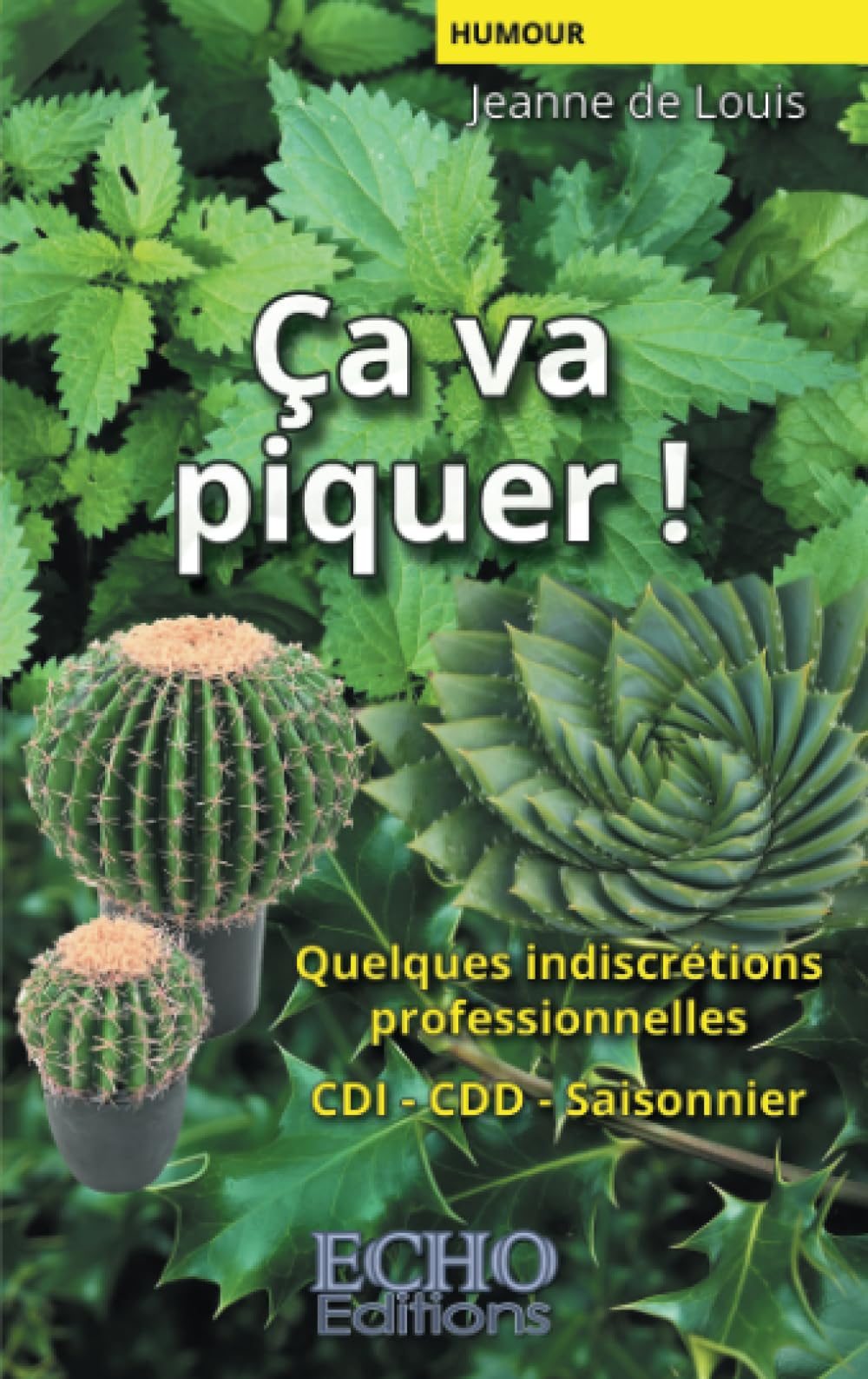 Ca va piquer ! : Quelques indiscrétions professionnelles CDI, CDD, saisonnier