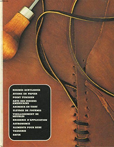 artisanat et loisirs. les résines acryliques, avions en papier, point tunisien, arts manuels des ind