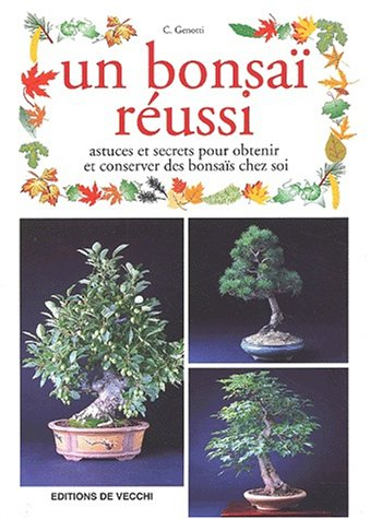 Un bonsaï réussi : astuces et secrets pour obtenir et conserver des bonsaïs chez soi