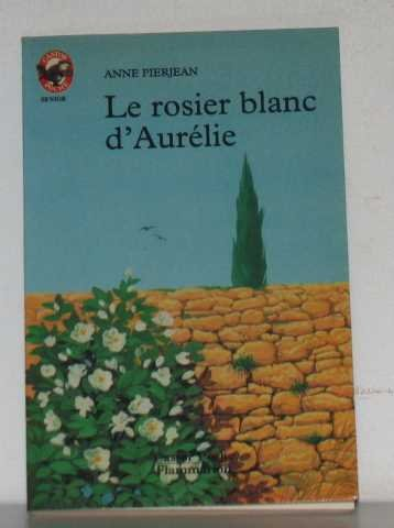 Le Rosier blanc d'Aurélie
