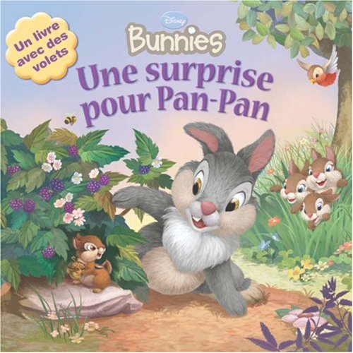 Une surprise pour Pan-Pan