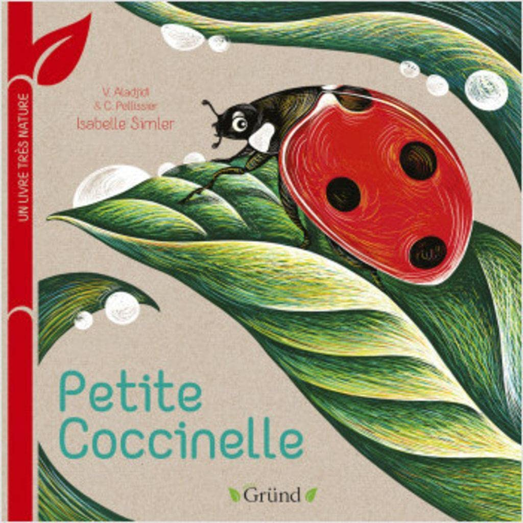 Petite coccinelle