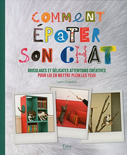 Comment épater son chat : bricolages et délicates attentions créatives pour lui en mettre plein les 