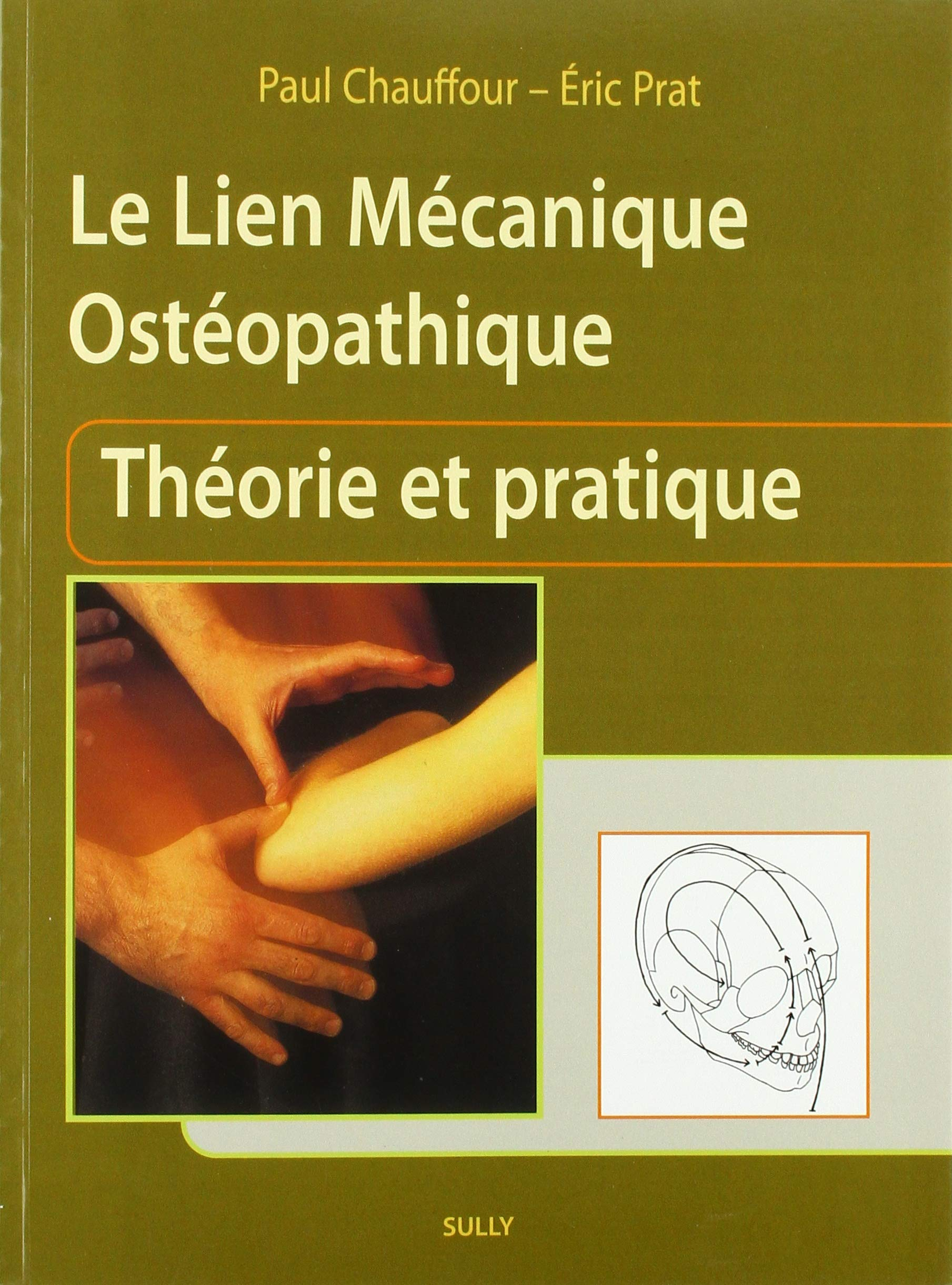Le lien mécanique ostéopathique : théorie et pratique
