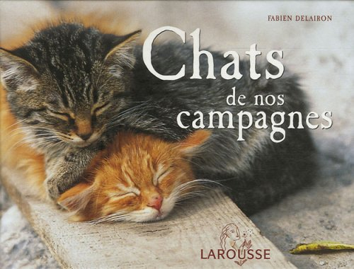 Chats de nos campagnes