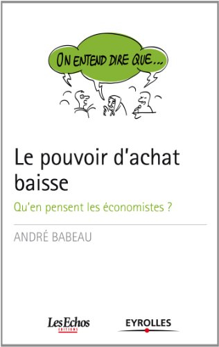 Le pouvoir d'achat baisse : qu'en pensent les économistes ?