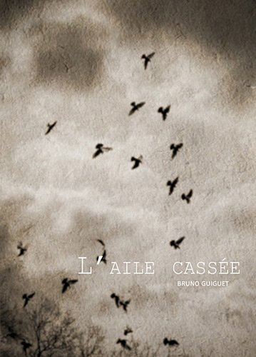 L'aile cassée