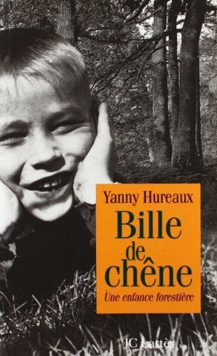 Bille de chêne : une enfance forestière