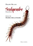 Scolopendre