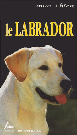 Le labrador