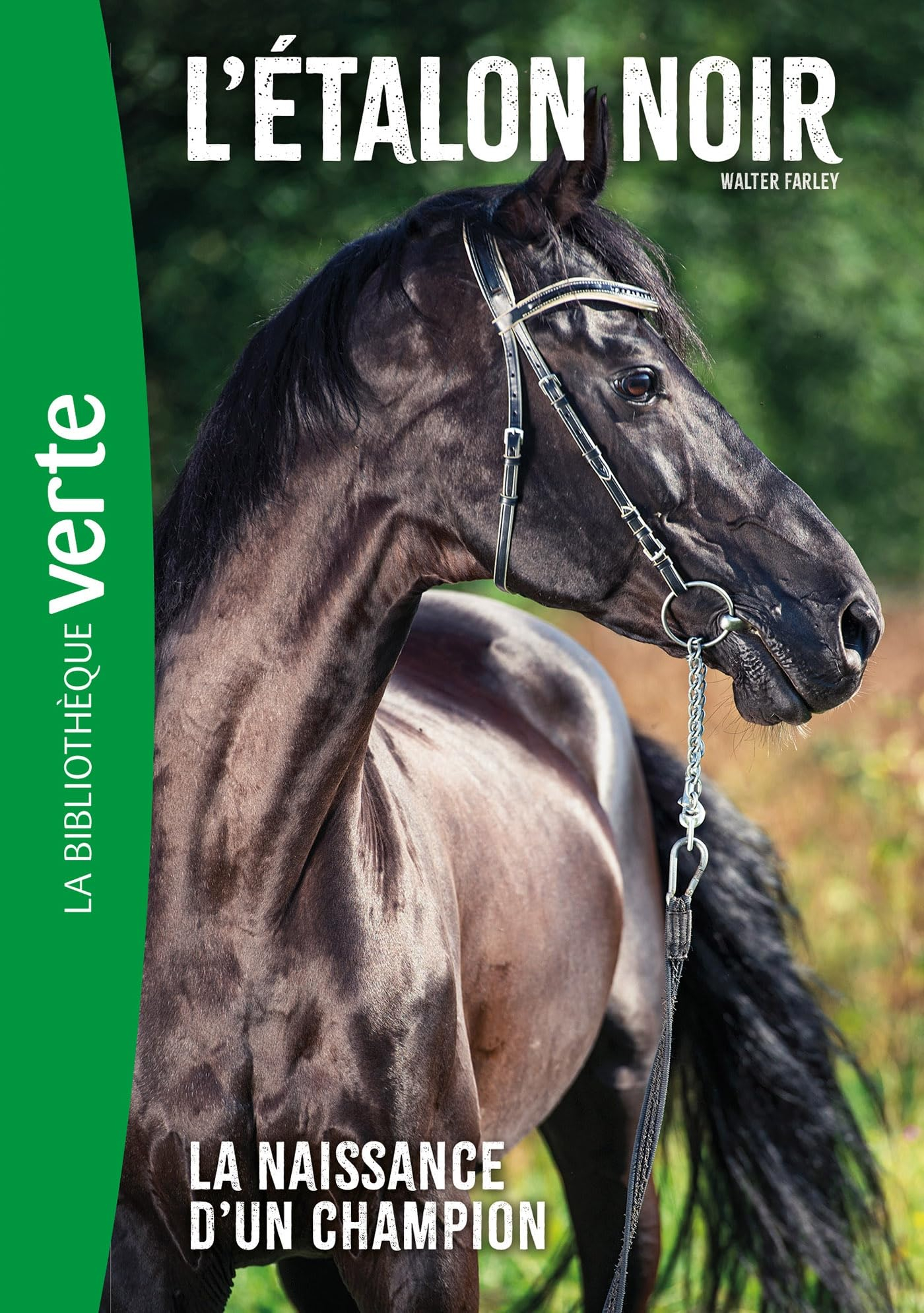 L'étalon noir. Vol. 19. La naissance d'un champion