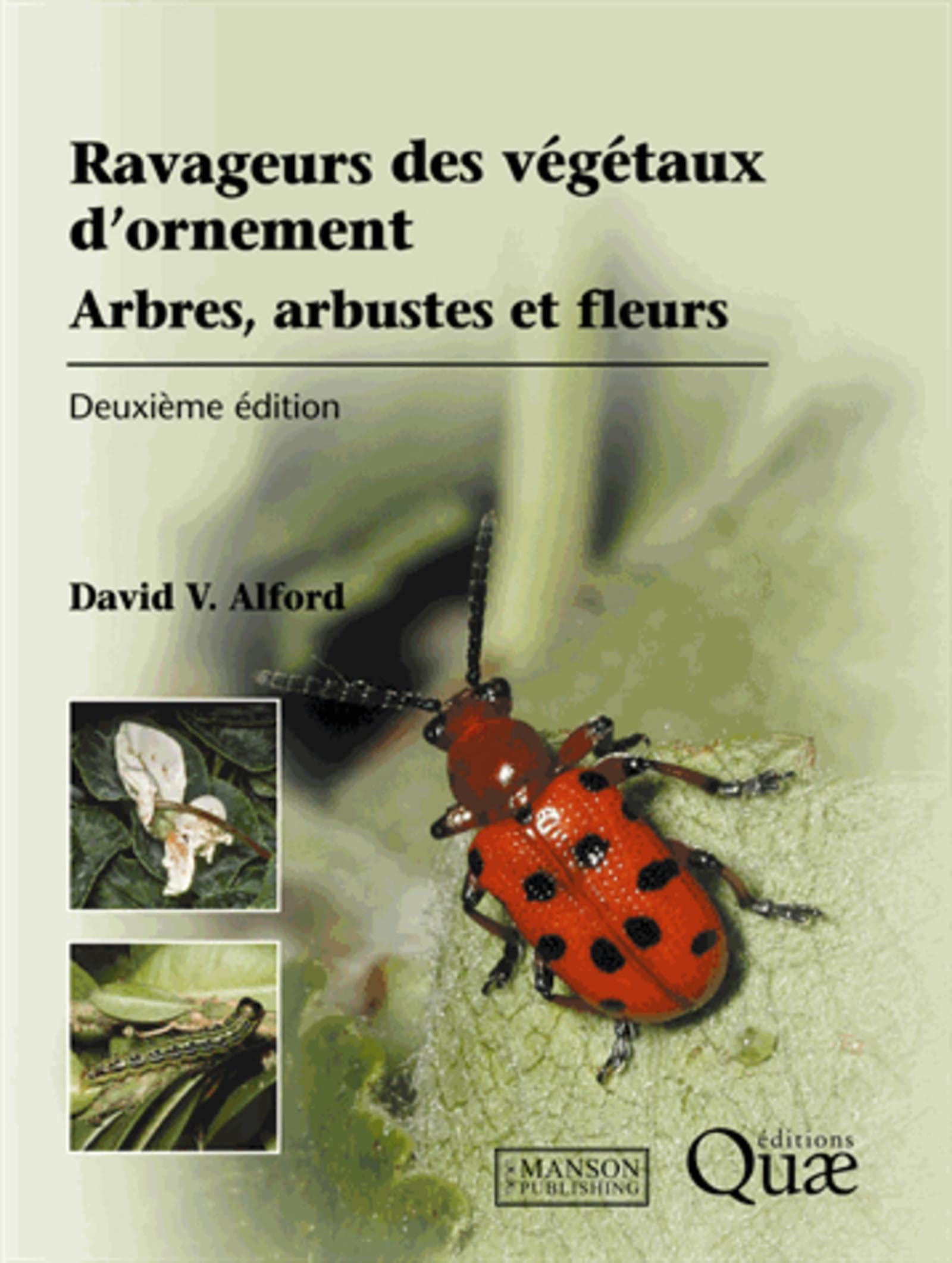 Ravageurs des végétaux d'ornement : arbres, arbustes, fleurs