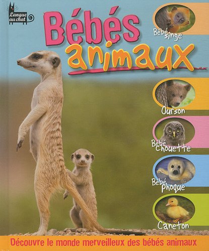 Bébés animaux : découvre le monde merveilleux des bébés animaux