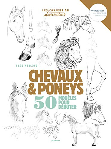 Chevaux & poneys : 50 modèles pour débuter