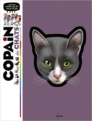 Copain des chats : pour tout savoir sur ton petit félin