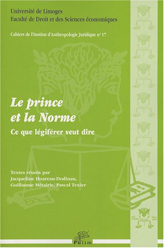Le prince et la norme : ce que légiférer veut dire