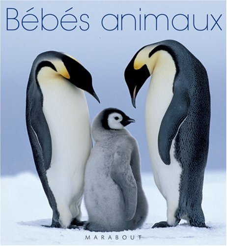 Bébés animaux
