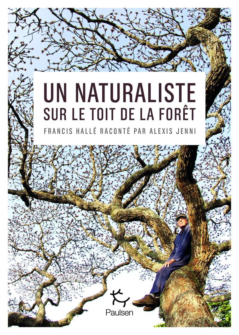 Un naturaliste sur le toit de la forêt