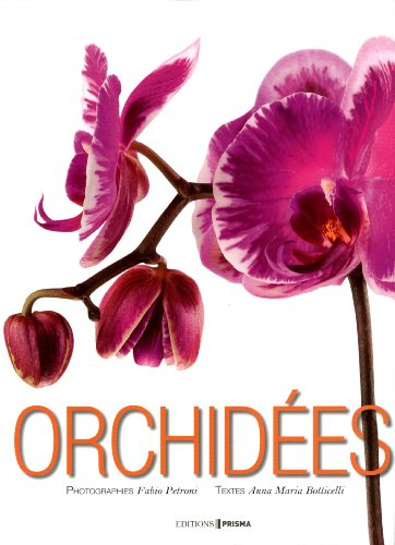 Orchidées