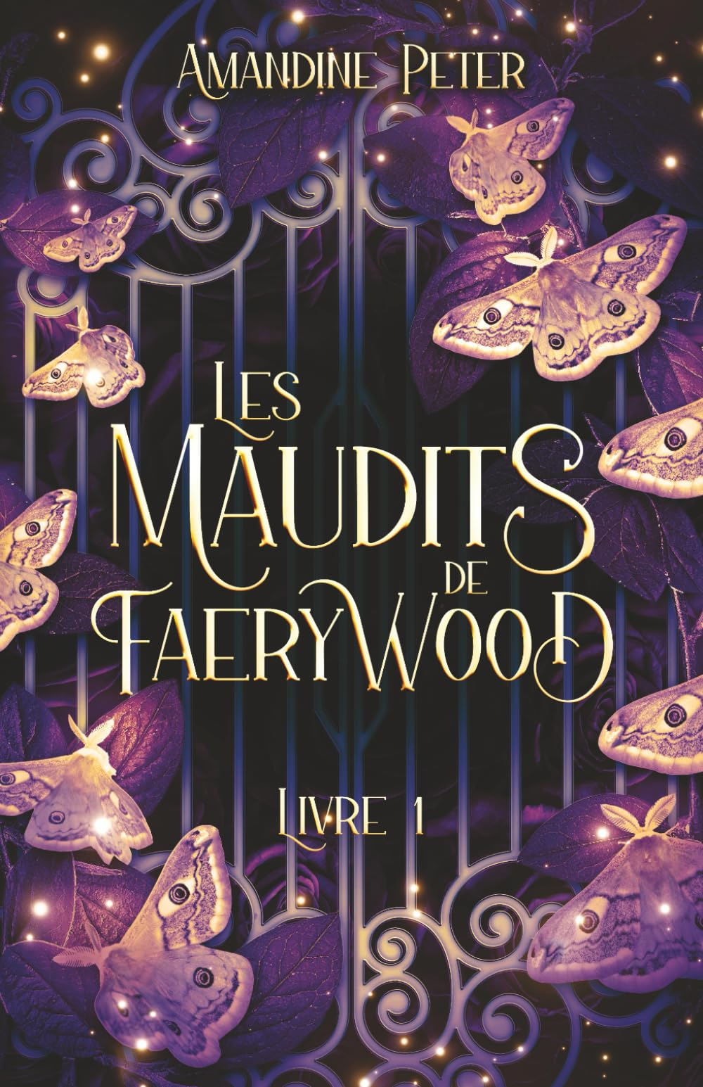 Les Maudits de Faerywood, Livre 1