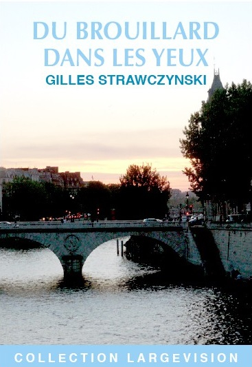 Du brouillard dans les yeux