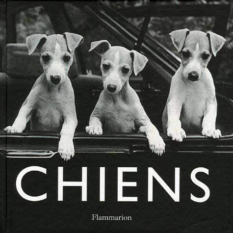 Chiens