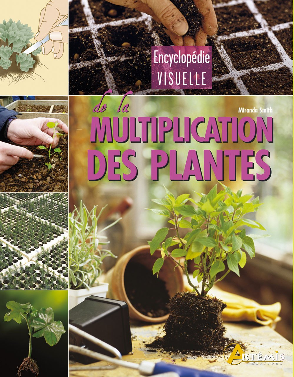 Encyclopédie visuelle de la multiplication des plantes