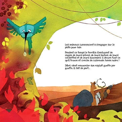 Dibri colibri : une libre adaptation du conte oral amérindien Colibri transposé en Afrique