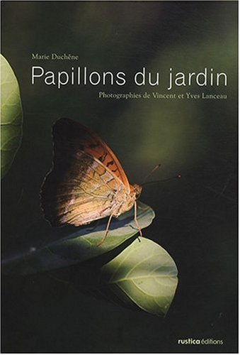 Papillons du jardin