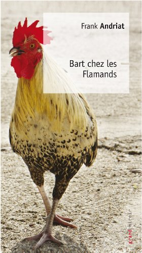 Bart chez les Flamands