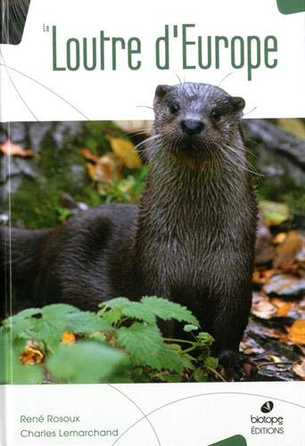 La loutre d'Europe