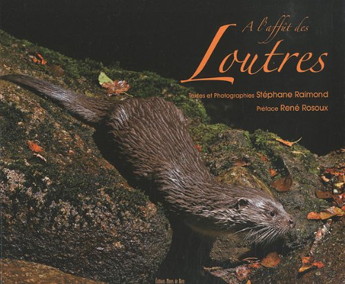 A l'affût des loutres