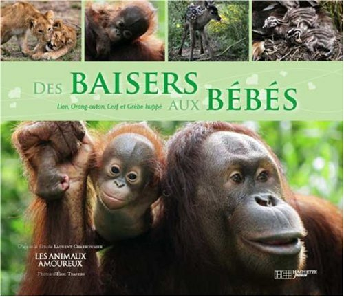 Des baisers aux bébés : avec le lion, l'orang-outang, le cerf et le grèbe huppé