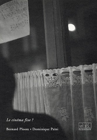 Le cinéma fixe ?